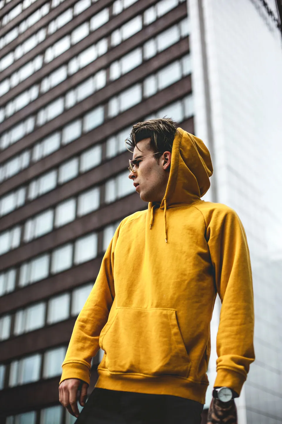 Sudadera Sierra